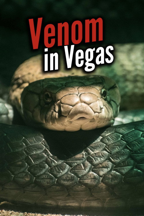 Movie poster for Venom In Vegas (2010)