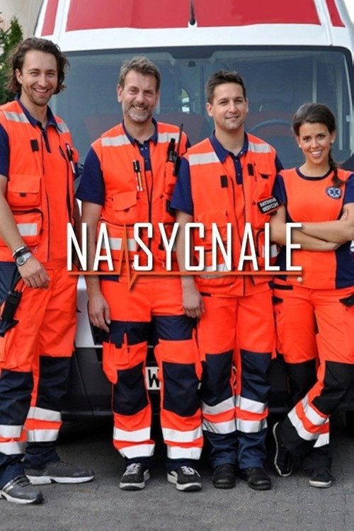 Series poster for Na sygnale (2014)