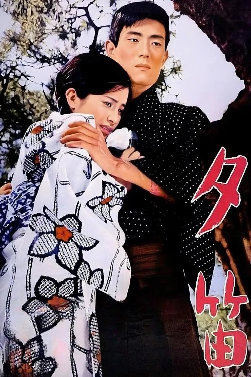 Movie poster for Lost Love (1967)