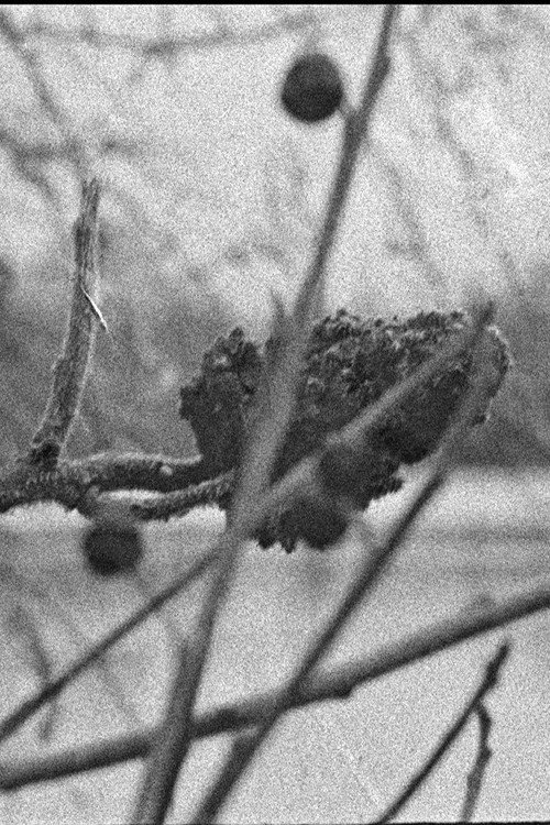 Movie poster for River (2023)
