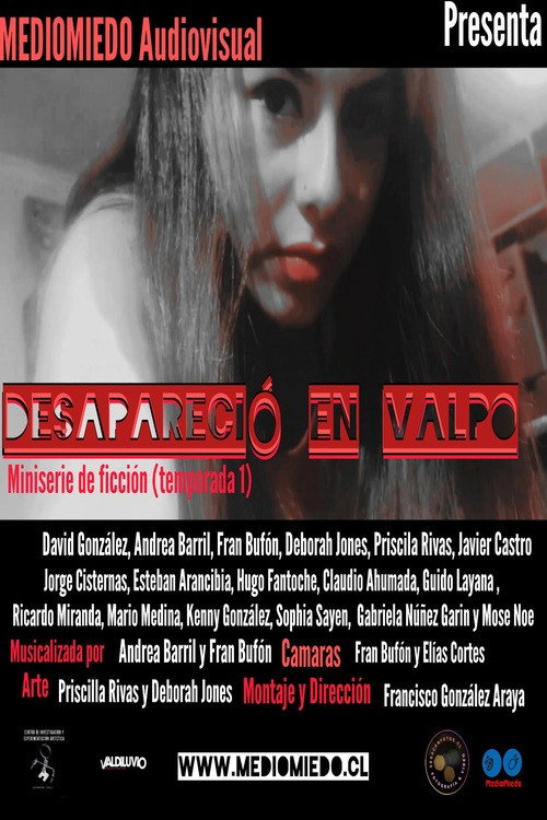 Series poster for Desapareció en Valpo (2023)
