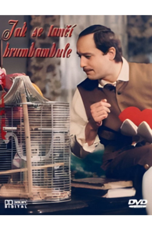 Movie poster for Jak se tančí brumbambule (1985)