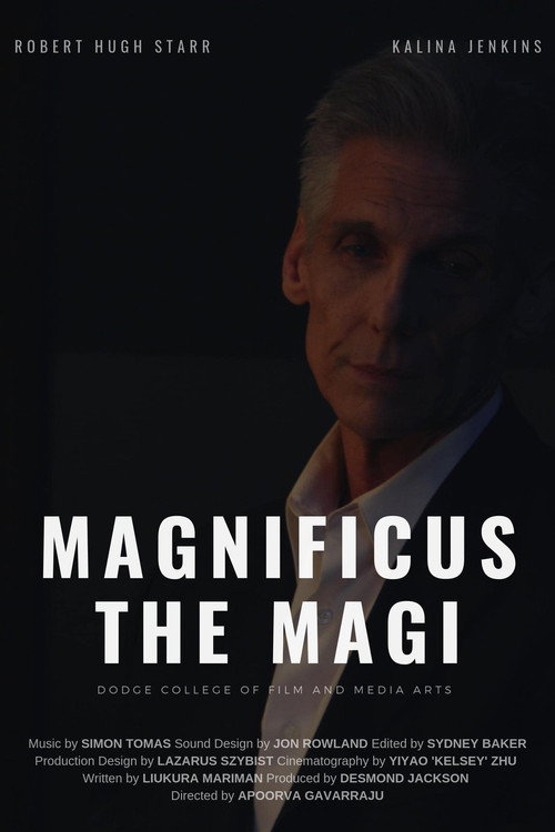Movie poster for Magnificus the Magi (2019)