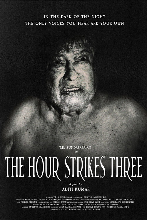 Movie poster for The Hour Strikes Three