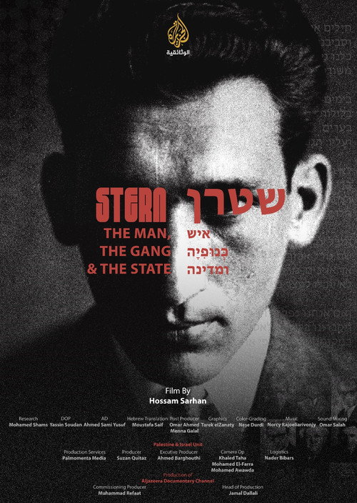 Movie poster for Stern: The man, The gang, and The State