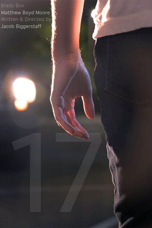 Movie poster for 17 (2022)