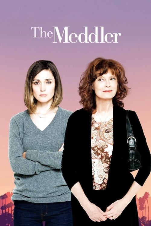 Movie poster for The Meddler (2016)