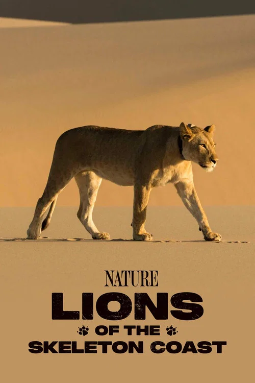 Movie poster for Lions of the Skeleton Coast (2025)