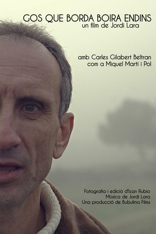 Movie poster for Gos que borda boira endins