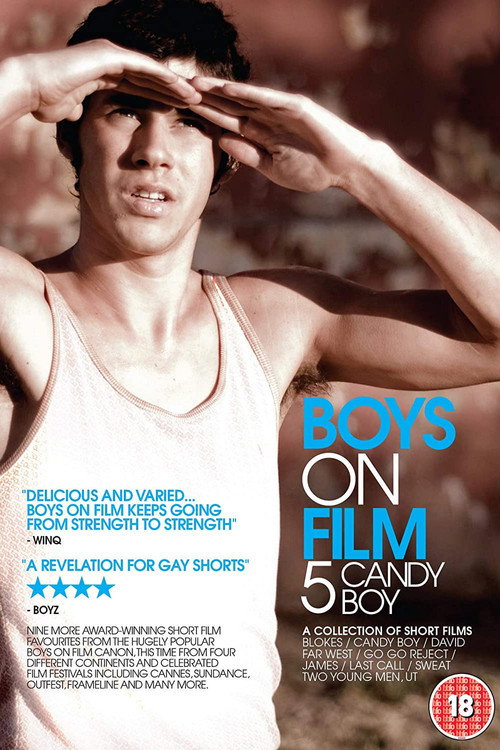 Movie poster for Boys On Film 5: Candy Boy (2010)