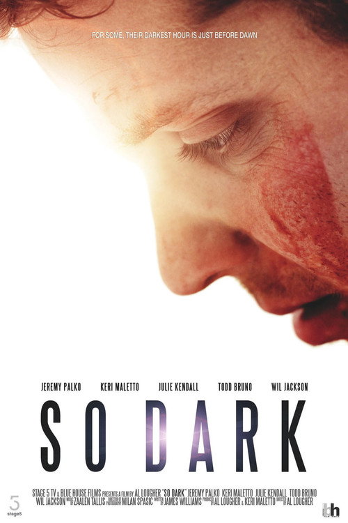 Movie poster for So Dark (2013)