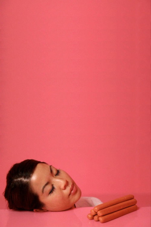 Movie poster for The Pink Detachment (2015)