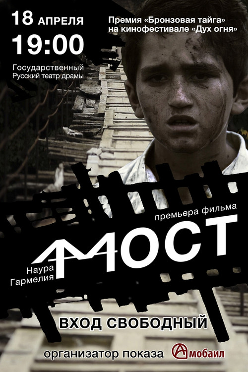 Movie poster for The Bridge (2015)