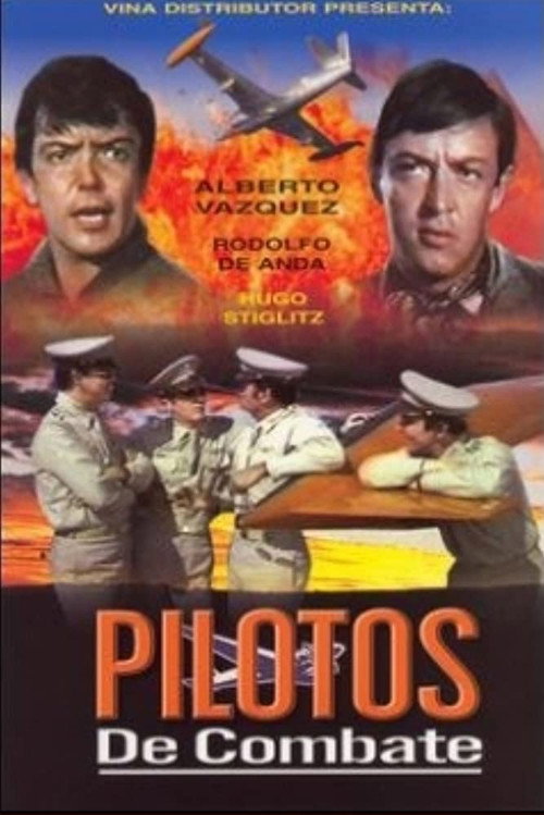 Movie poster for Pilotos de combate (1973)