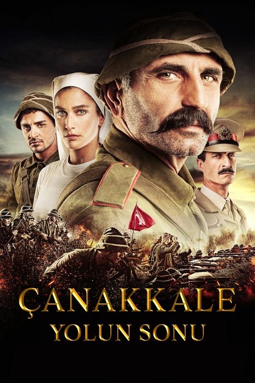 Movie poster for Gallipoli: End of the Road (2013)