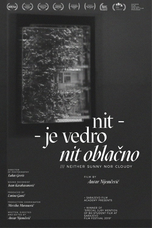 Movie poster for Neither Sunny Nor Cloudy (2019)