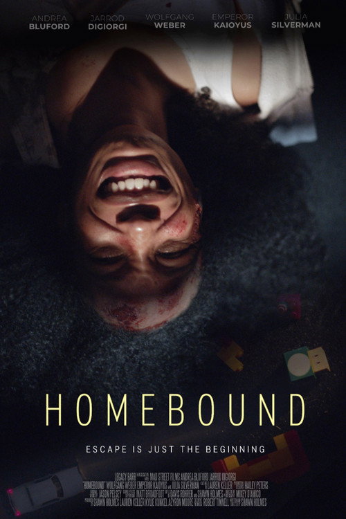 Movie poster for Homebound