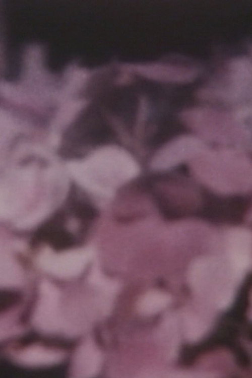 Movie poster for TOKIMEKI, DOKKIN (1994)
