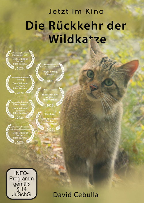 Movie poster for The Return of the Wildcat (2020)