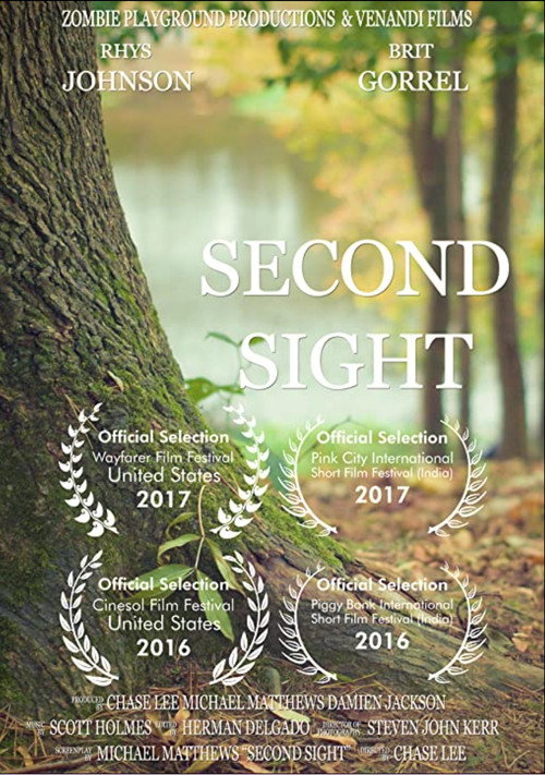 Movie poster for Second Sight (2016)