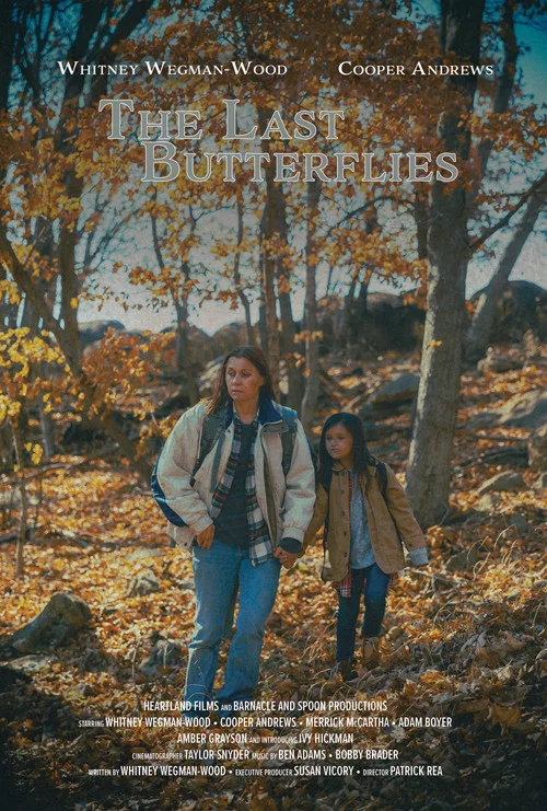 Movie poster for The Last Butterflies (2023)