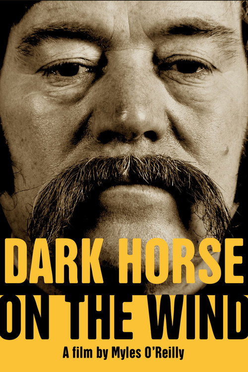 Movie poster for Dark Horse on the Wind (2022)