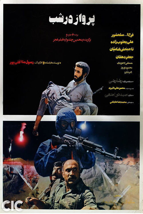 Movie poster for The Flight in the Night (1987)