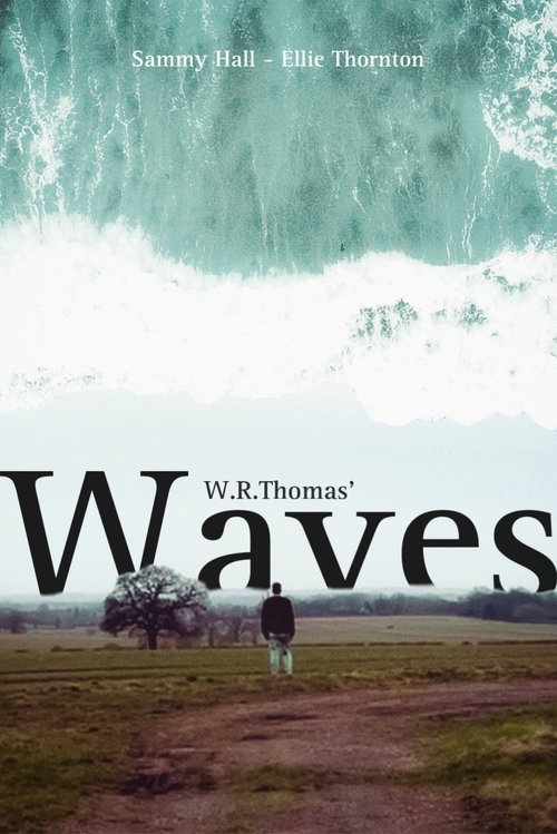 Movie poster for Waves (2024)