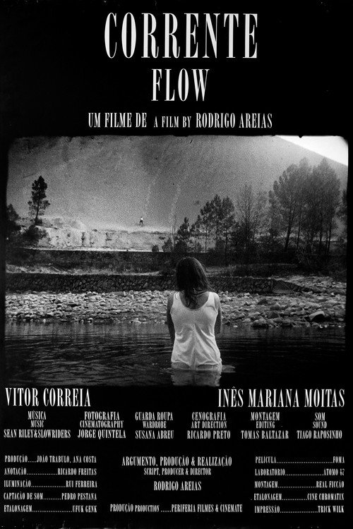 Movie poster for Flow (2008)
