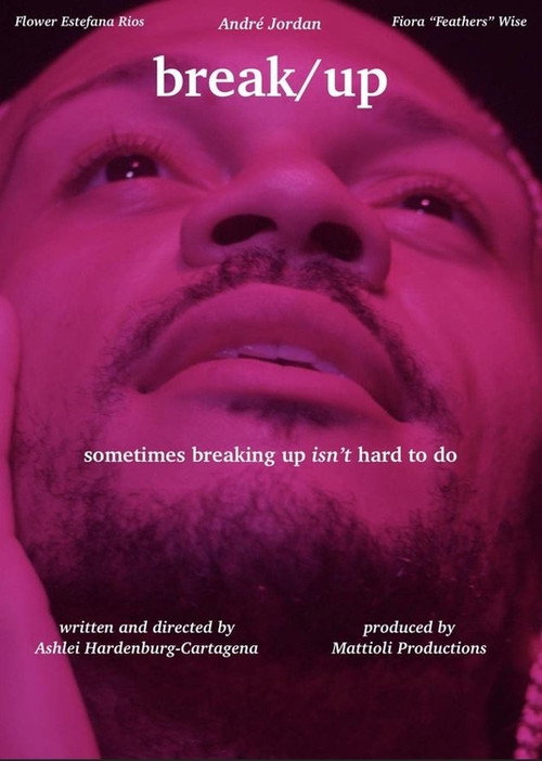 Movie poster for Break/Up (2022)