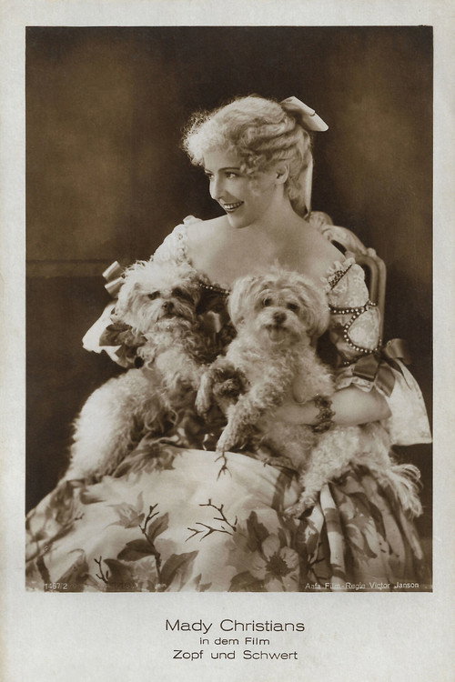 Movie poster for Zopf und Schwert (1926)