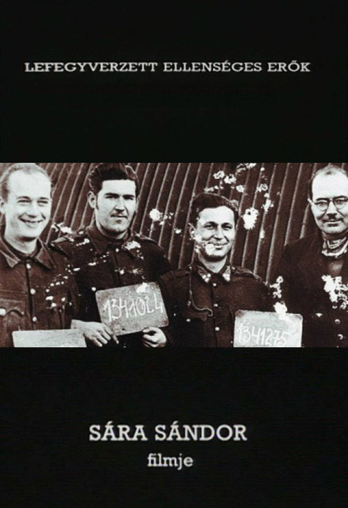 Movie poster for Prisoners of War (1991)