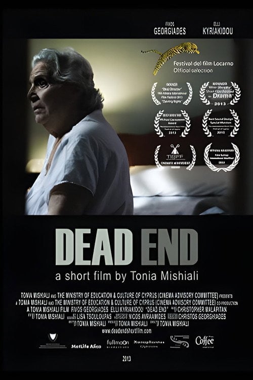 Movie poster for Dead End (2013)