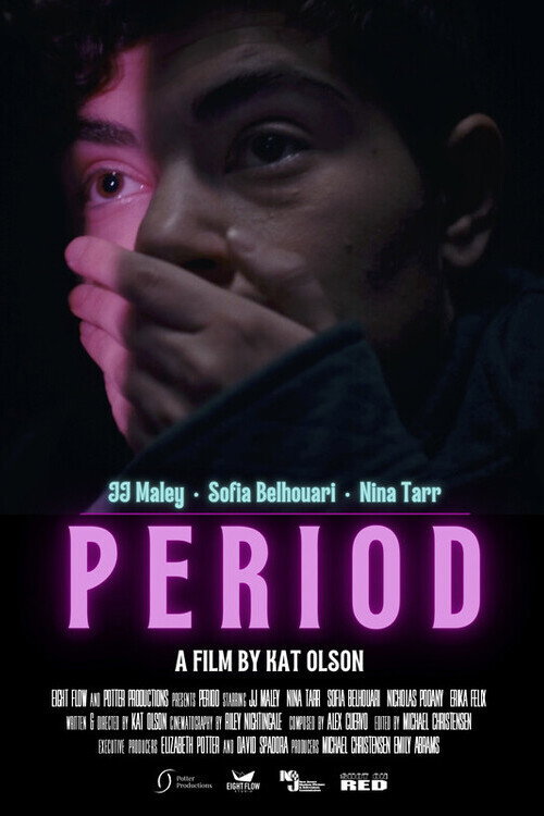 Movie poster for Period (2025)