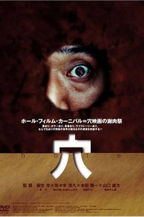 Movie poster for Hole (2004)