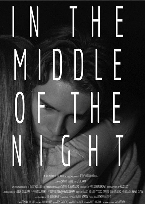 Movie poster for In the Middle of the Night (2016)