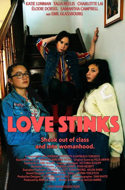 Movie poster for Love Stinks (2016)