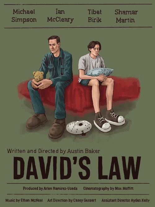Movie poster for DAVID'S LAW (2025)
