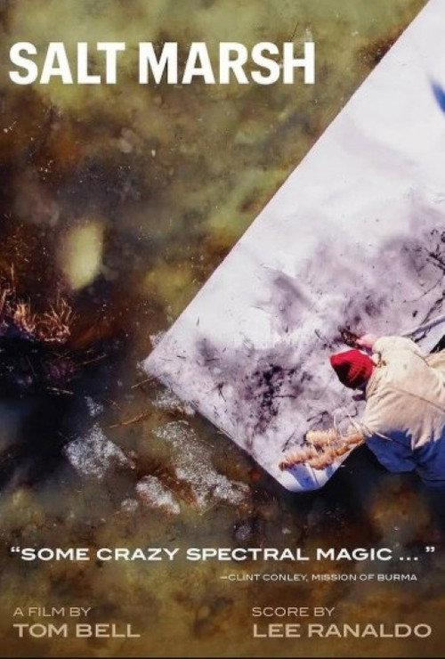 Movie poster for Salt Marsh (2025)