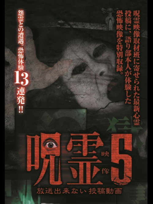 Movie poster for Submitted Ghost Videos That Cannot be Broadcast 5 (2015)