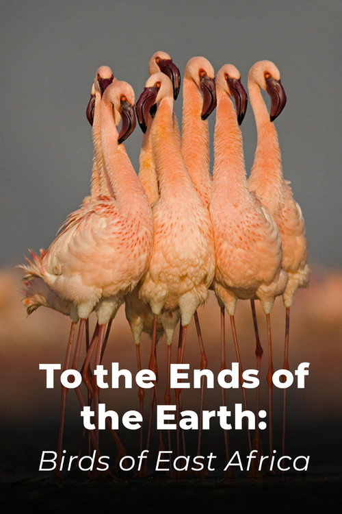 Movie poster for To the Ends of the Earth: Birds of East Africa