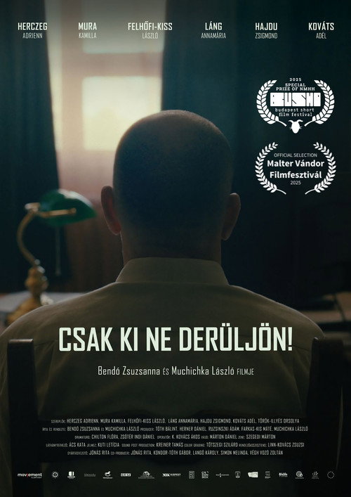 Movie poster for Csak ki ne derüljön! (2025)