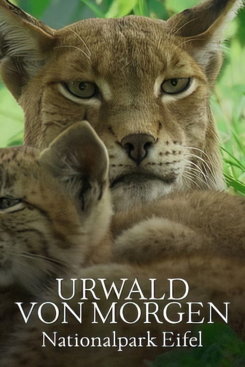 Movie poster for Urwald von morgen – Nationalpark Eifel (2023)