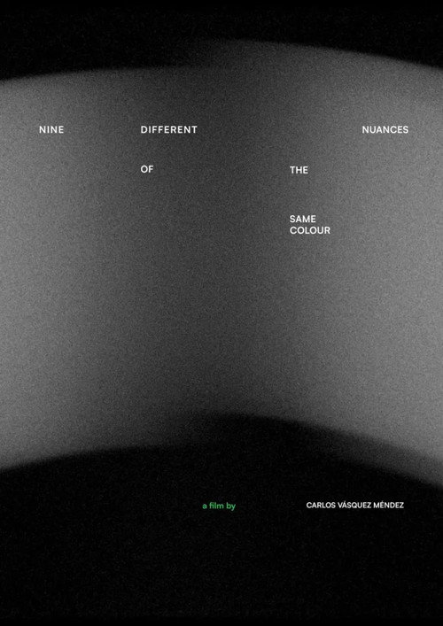 Movie poster for Nine Different Nuances of the Same Colour (2025)