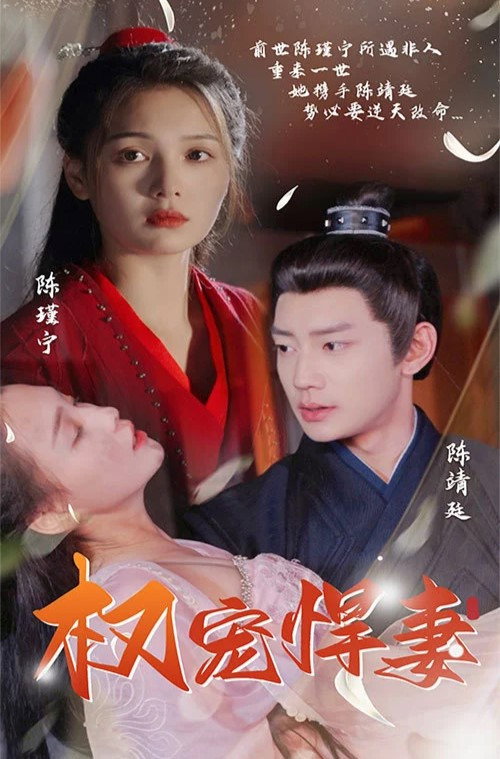 权宠悍妻 poster