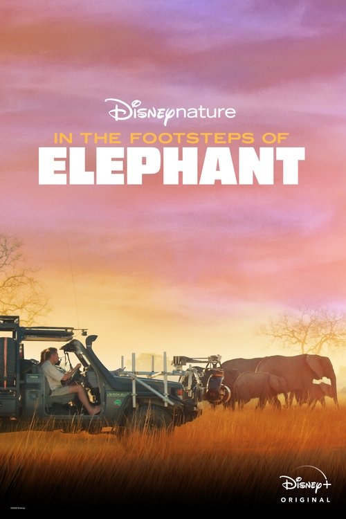 Movie poster for In the Footsteps of Elephant (2020)