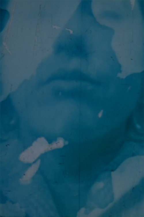 Movie poster for Auto Portrait / Self Portrait Post Partum (2013)