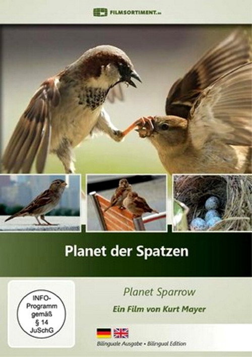 Movie poster for Planet der Spatzen (2017)