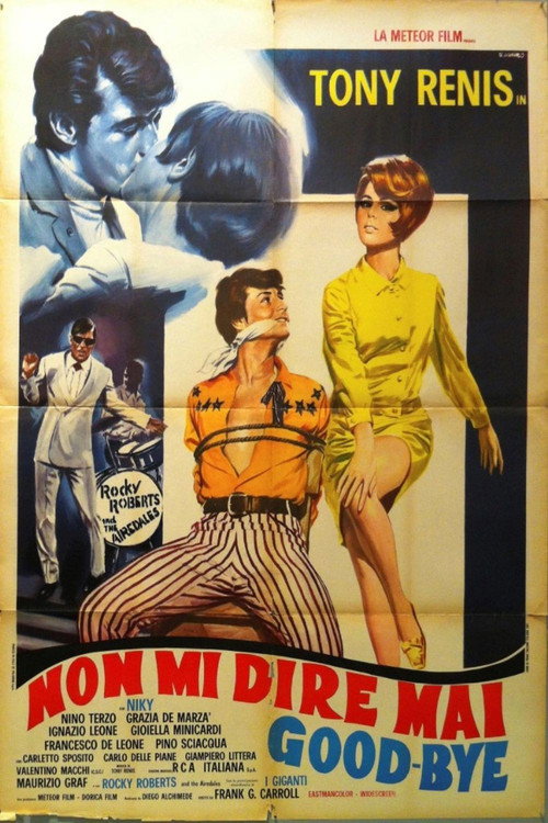 Movie poster for Non mi dire mai goodbye (1967)