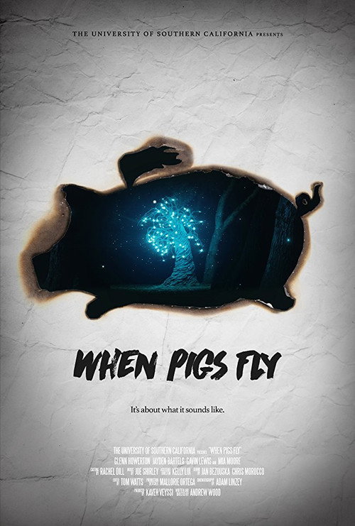 Movie poster for When Pigs Fly (2016)